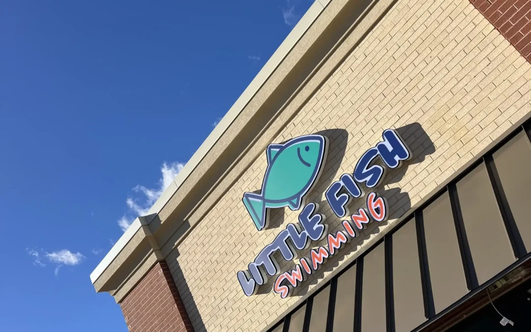 Small Business, Big Dreams: Why Systems Are the Engine That Drive Growth